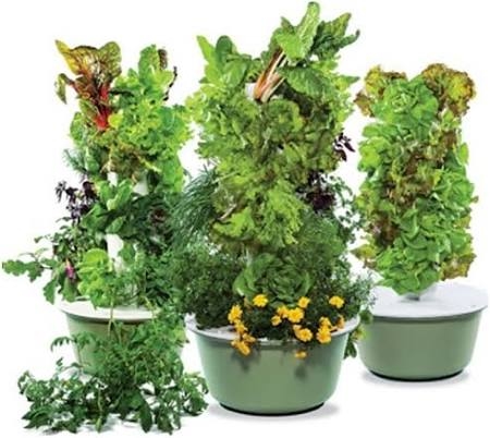 Family Tower Garden Logo