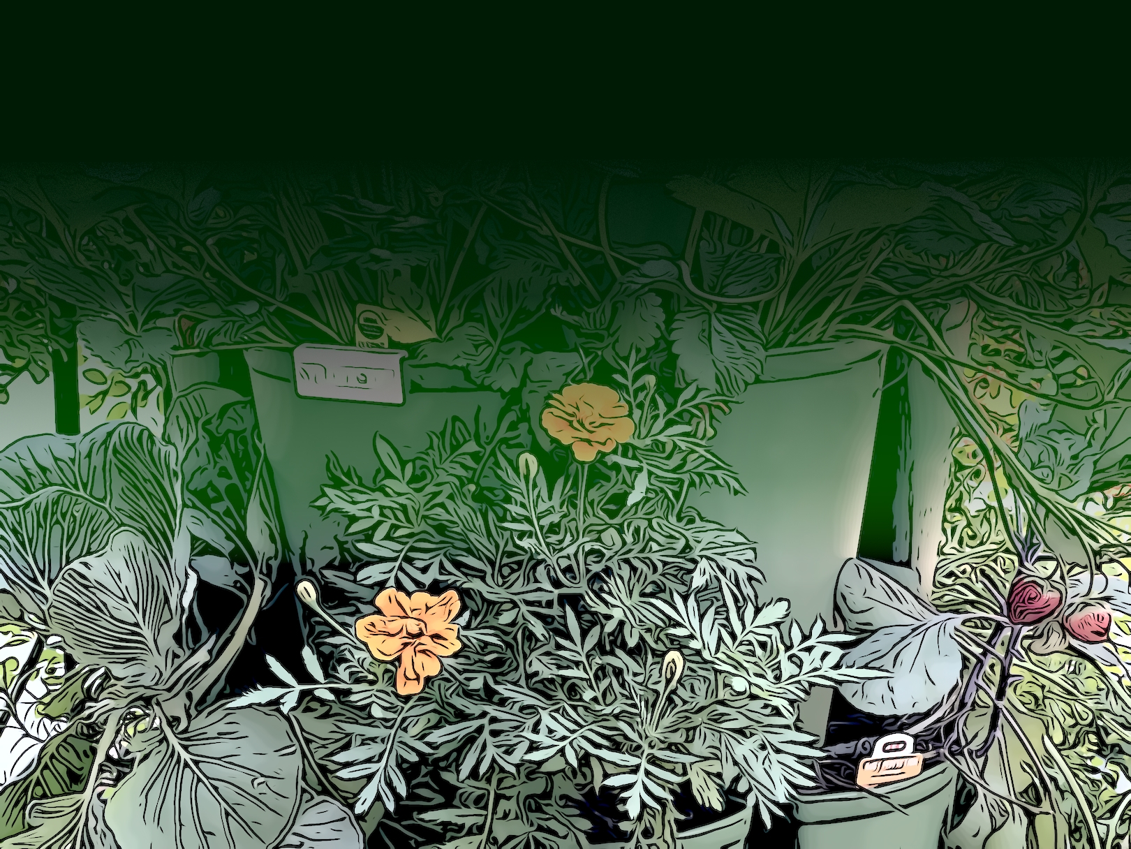 Vertical Planter Gardens