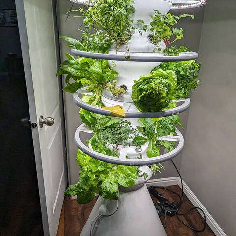 Lettuce Grow Indoor Farmstand Logo
