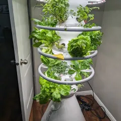 Lettuce Grow Indoor Farmstand Logo